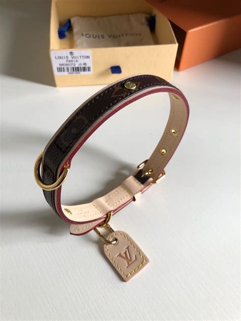 faux louis vuitton dog collar.